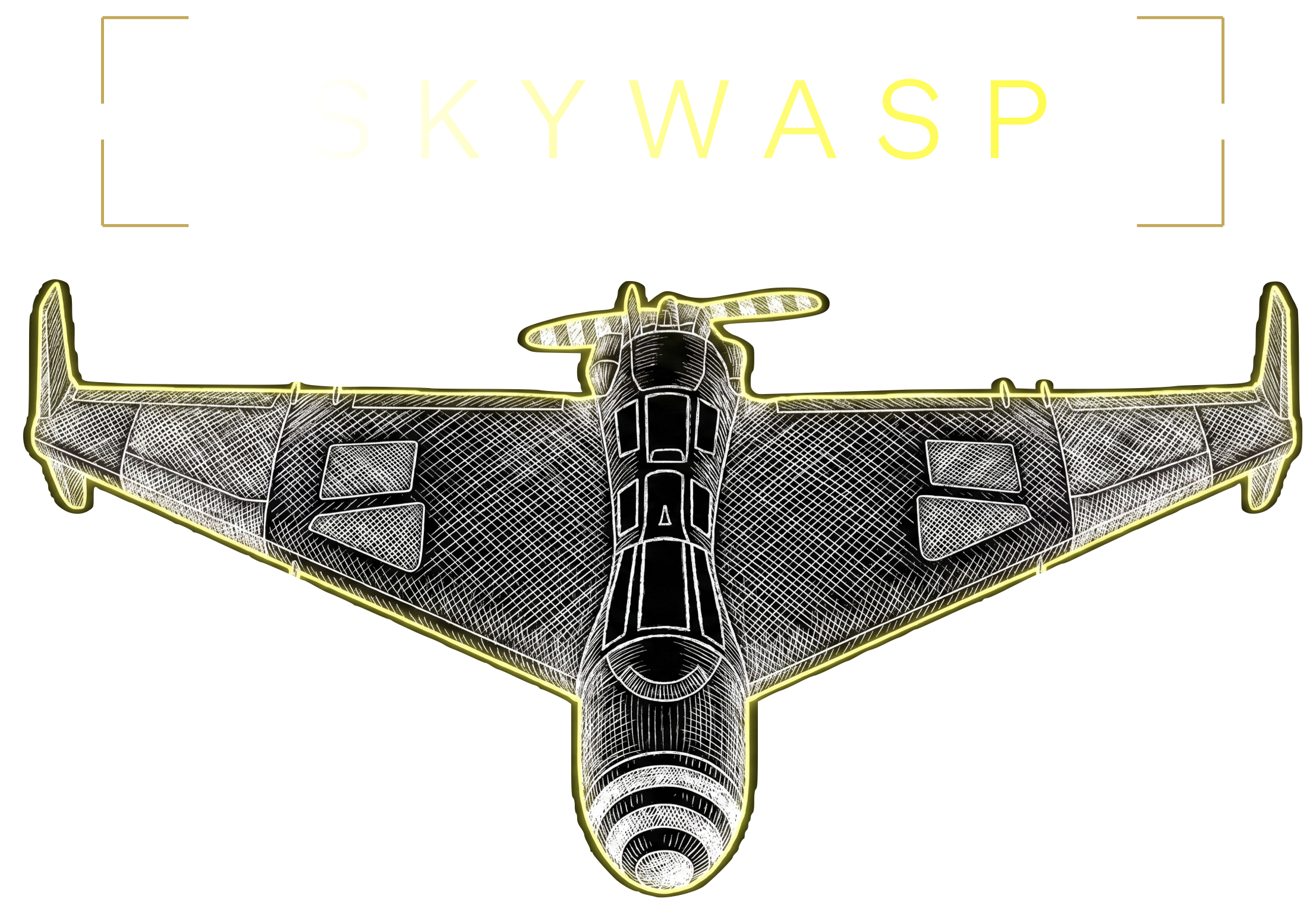 SKYWASP