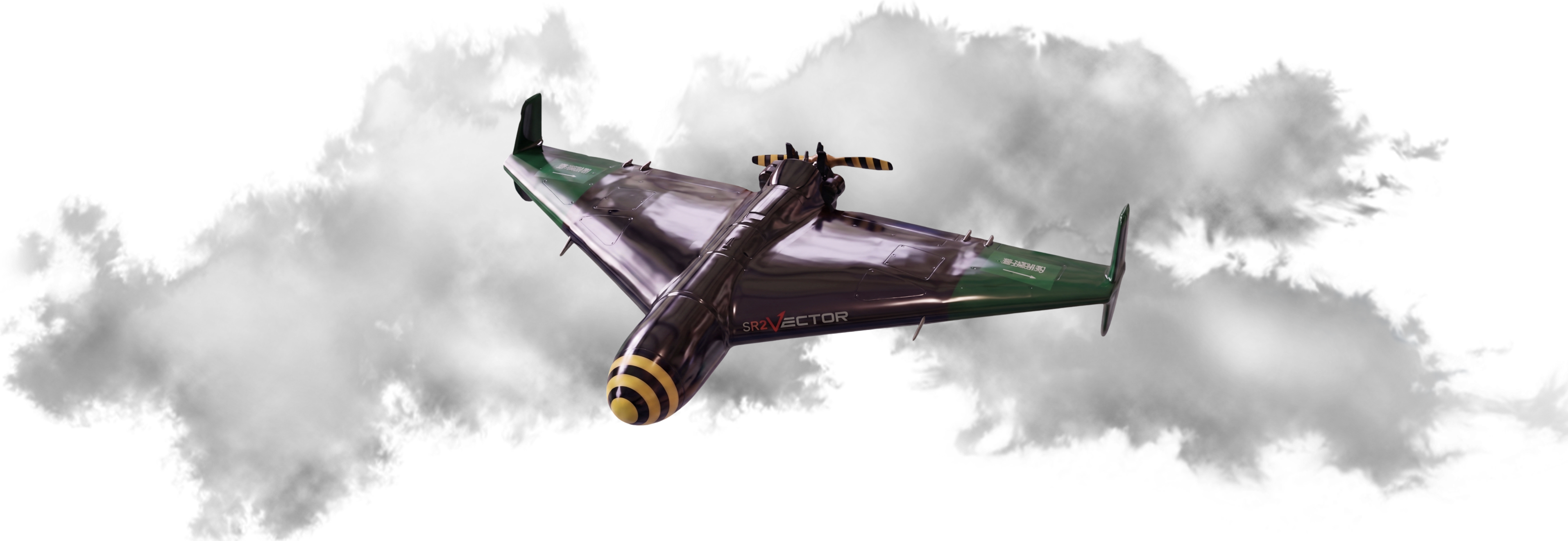 SKYWASP